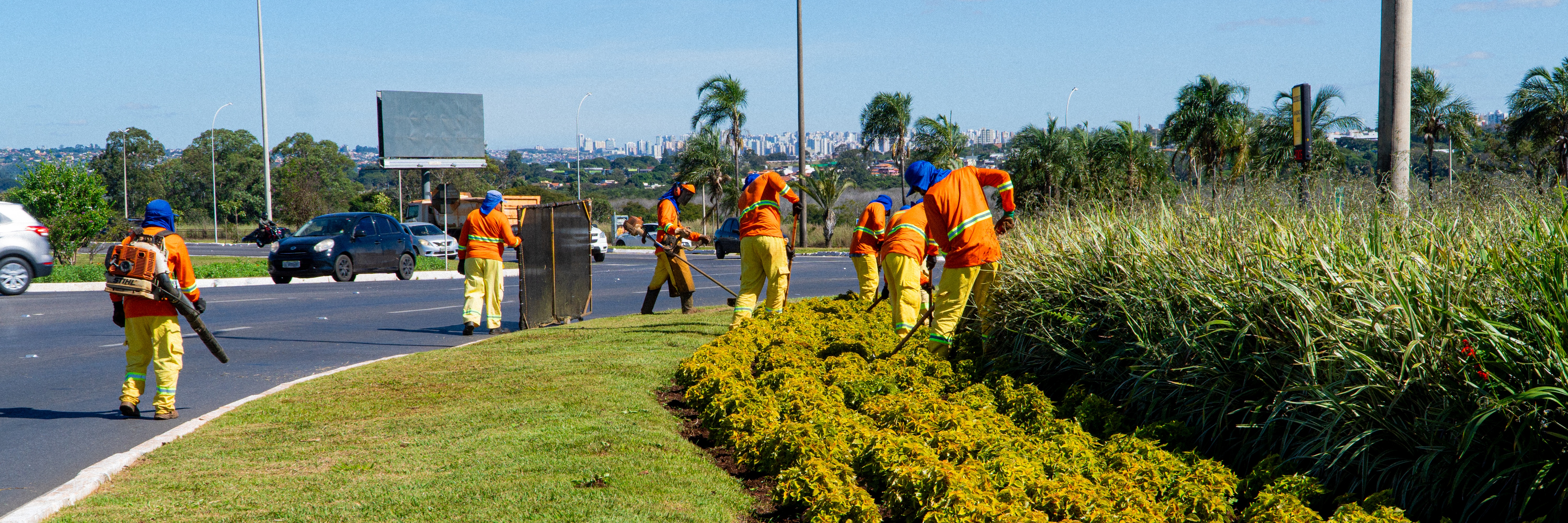 Serviços EBF em ação